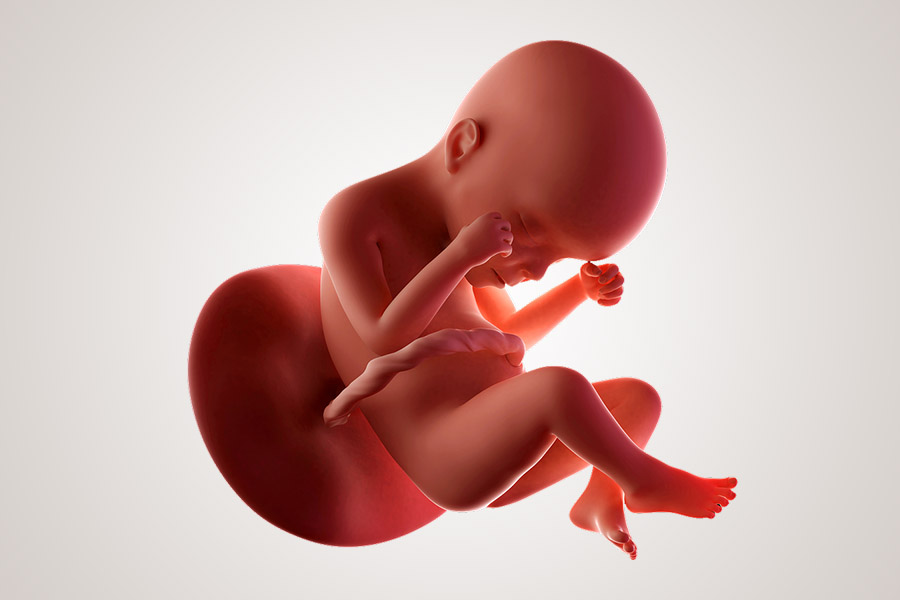 stroomkring Elasticiteit complicaties 24 weken zwanger – 24Baby.nl