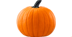 Je baby is na 40 weken zwanger zo groot als een pompoen