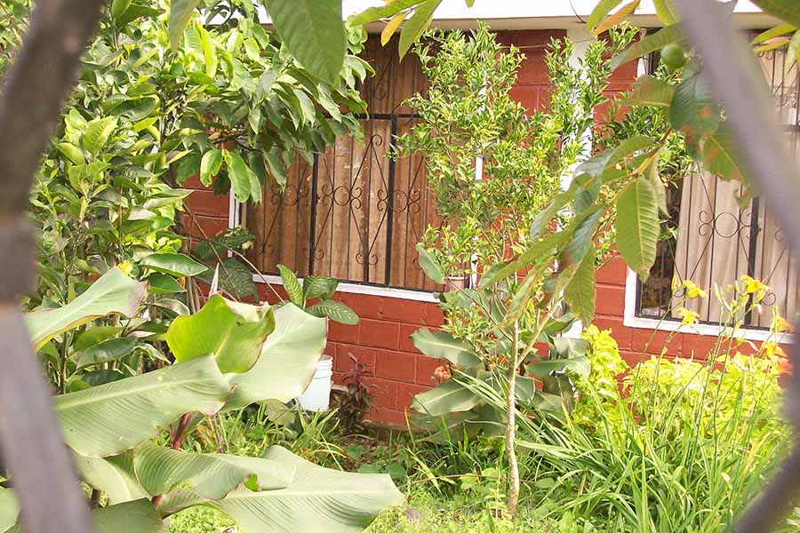 Het huis van de buren met tralies voor de ramen