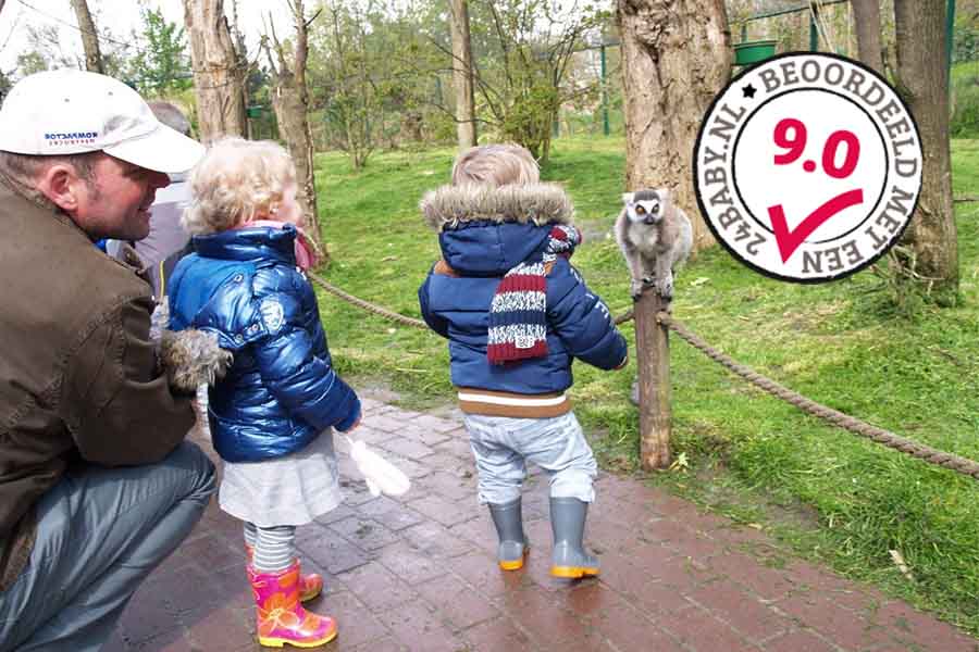 kleine kindjes en papa in Dierenrijk