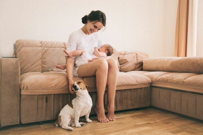 helpen Werkgever Plagen Hond en baby: gaan ze eigenlijk wel samen? – 24Baby.nl
