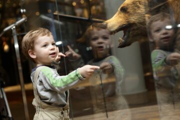 Peuter in natuurhistorisch kindermuseum