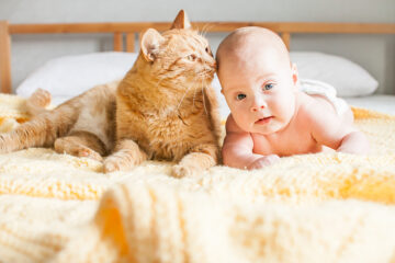 Baby speelt met huisdier