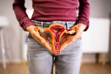 Van eicel tot embryo dossier