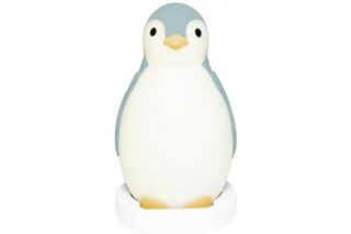 Zazu Pam Slaaptrainer