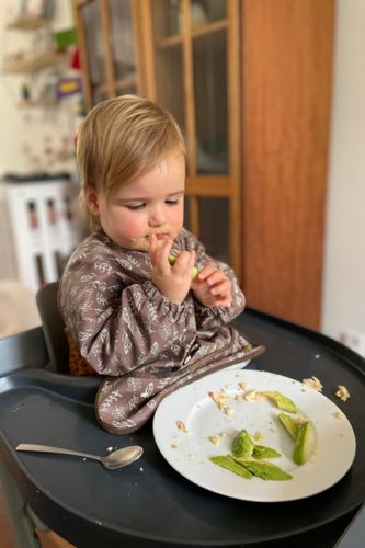 Dreumes in Stokke Tripp Trapp babyzitje