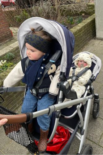 uppababy vistab