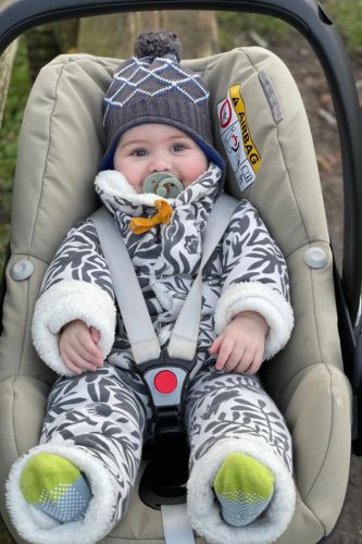 maxi cosi pebble