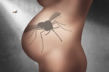zika-virus en zwangerschap: de risico's