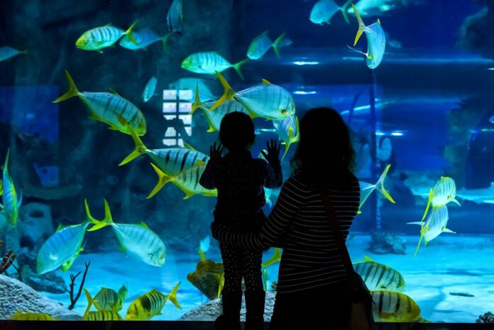 Moeder en peuter in het aquarium