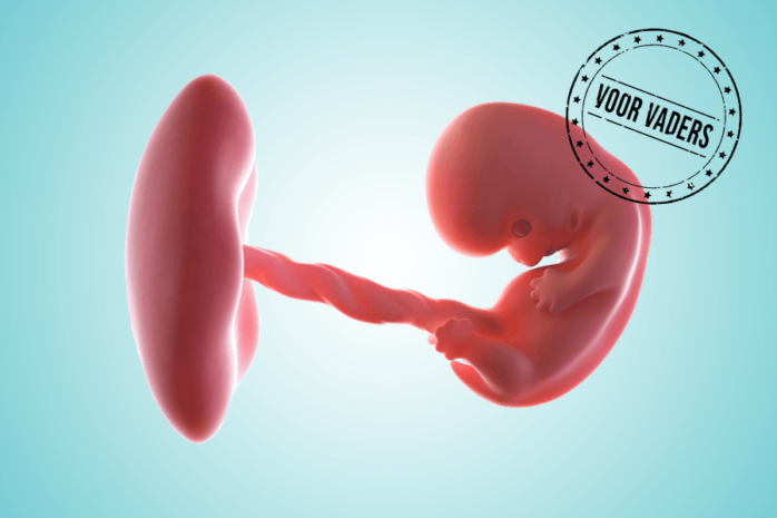 Vaderschapskalender: de zwangerschap van maand tot maand