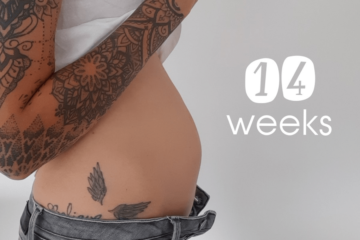 14 weken zwanger buik