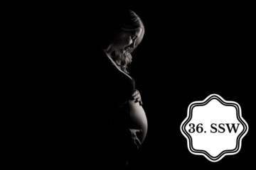 So sieht ein Babybauch in der 36. SSW aus.