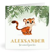 Geburtskarten mit dem Vornamen Aleksander