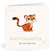 Geboortekaartjes met de naam Bastiaantje