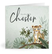 Geburtskarten mit dem Vornamen Chester