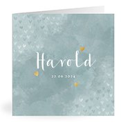 Geboortekaartjes met de naam Harold