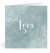 Geboortekaartjes met de naam Igor