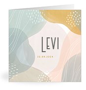 Geboortekaartjes met de naam Levi