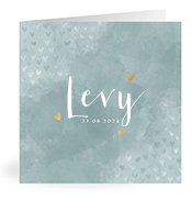 Geboortekaartjes met de naam Levy