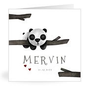 Geburtskarten mit dem Vornamen Mervin