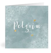 Geboortekaartjes met de naam Pelgrim