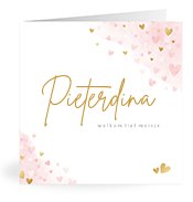 Geboortekaartjes met de naam Pieterdina