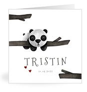 Geburtskarten mit dem Vornamen Tristin